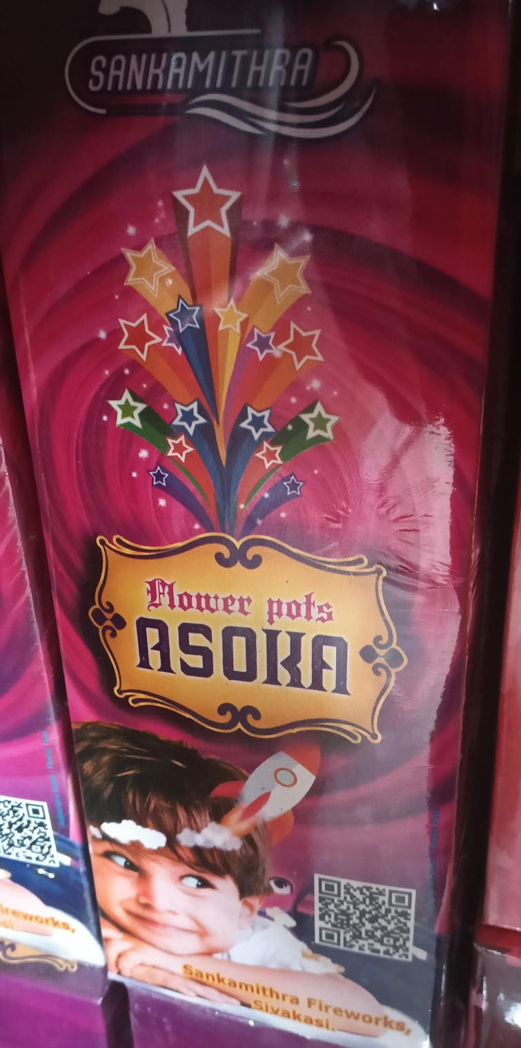 Flower Pots Asoka (10 pcs)